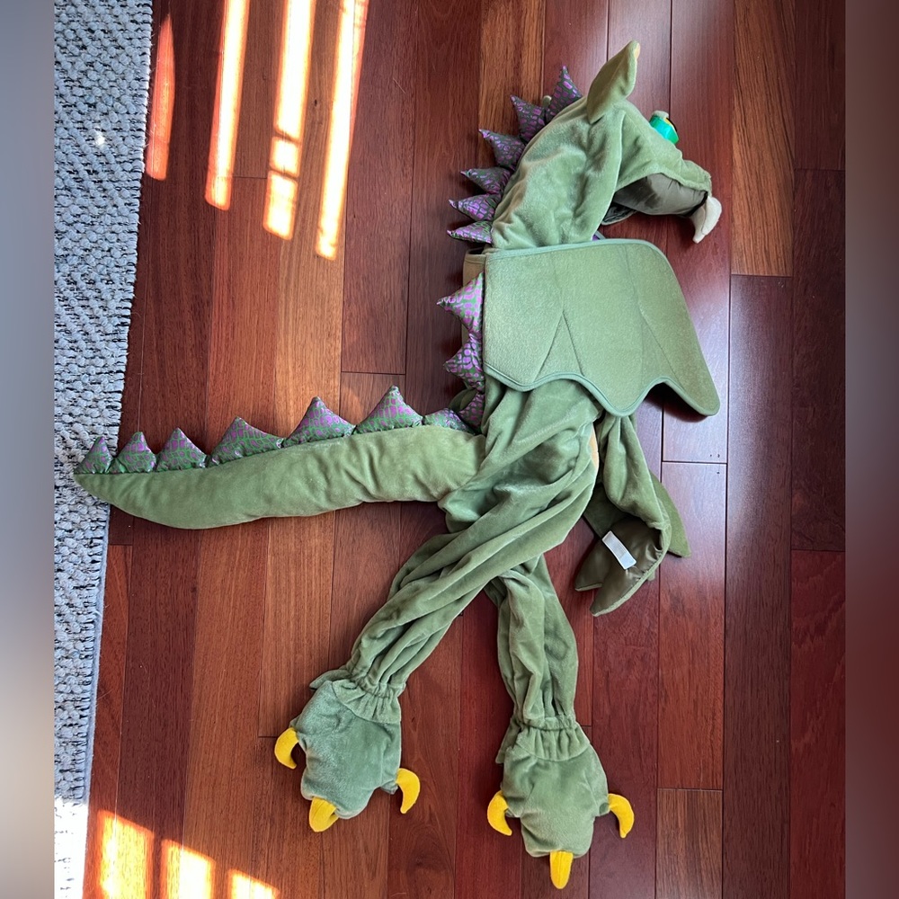 Dragon costume size 2T